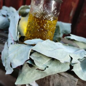 Aceite Eucalipto 150 Cc